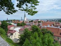 Blick von der Terrasse auf Tallinn
