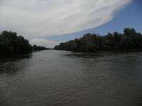 Donaudelta