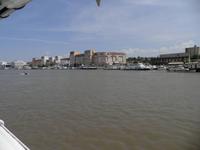 Tulca an der Donau