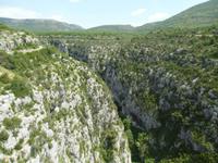 eine wilde Landschaft