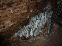 Romantik im Weinkeller...