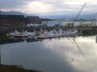 kleiner Fischereihafen in Djupivogur