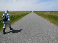 Eberhart Wandergruppe in Dänemark im Wattenmeerzentrum