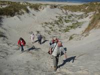 Eberhardt Wandergruppe in Dänemark - Dünenwanderung Henne Strand