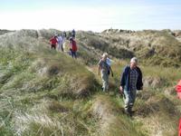 Eberhardt Wandergruppe in Dänemark - Dünenwanderung Henne Strand