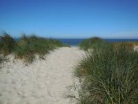 Eberhardt Wandergruppe in Dänemark - Dünenwanderung Henne Strand
