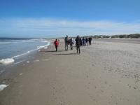 Eberhardt Wandergruppe in Dänemark - Dünenwanderung Henne Strand