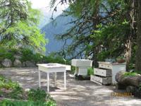 Kräutergarten auf der Schatzalp