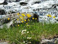 Rila Nationalpark -  Maljovitsa Panorama