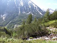 Panorama vor dem Vihren