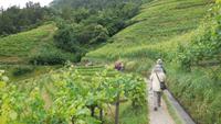 Wanderung auf dem Marlinger Waalweg