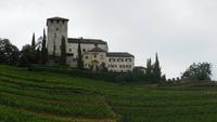 Wanderung auf dem Marlinger Waalweg