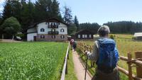 Auf dem Weg zur Leadneralm