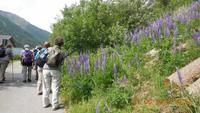Wanderung im Ultental
