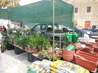Markt in Marsaxlokk (2)