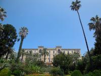 Ajaccio (6)