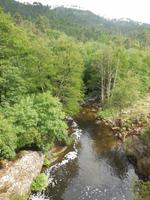 Prunelli-Schlucht (3)