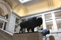 Bison-Statuen im Parlamentsgebäude in Winnipeg