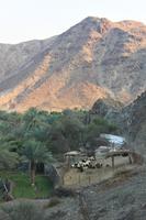 IMG_3569_Fotostopp im Hinterland bei Bithna