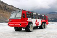 Schneebus - Snowcoach auf dem Columbia Eisfeld