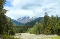 Blick auf den Mount Robson vom Zug