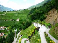 Schloss Trauttmansdorf, Meran, 25.06.2013