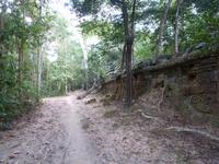 Angkor Thom - Ta Prohm Tempel