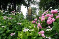SAM_8389