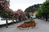 Bellagio
