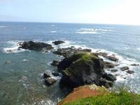 Lizard Point