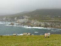 Achill Island - auf dem Atlantic drive