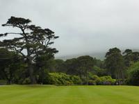 Park am Muckross House