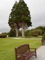 Park in Muckross