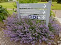 Park in Muckross