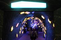 Rundgang auf dem Jungfraujoch