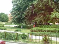 Russe-auf Fotopirsch