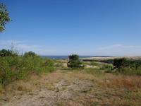 Wanderdünen bei Nidden