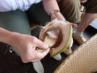 Kokosnussmahlzeit