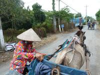 Kutschfahrt im Mekongdelta