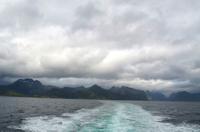 225 Fähre Moskenes-Bodö