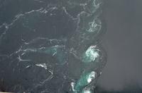 235 Saltstraumen