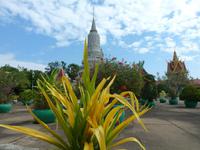 Phnom Penh, Königspalast