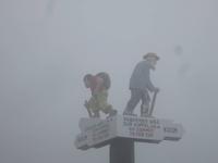 Auf der Rigi im Nebel