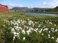Honningsvag - Landschaft am Hotel Rica Nordkap