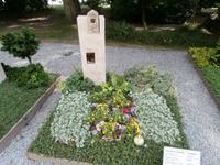 igs Hamburg