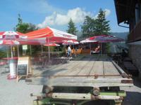 oben auf der Harder Kulm 