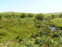 Dartmoor