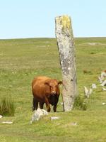 Dartmoor