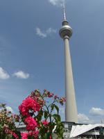 Berliner Fernsehturm
