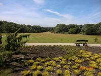 Schneverdingen Heidegarten